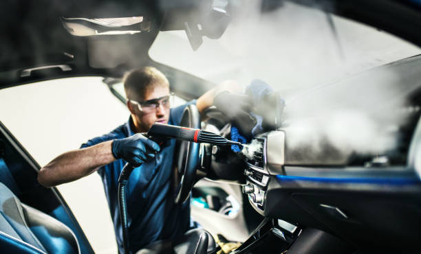 Best Air Duct Mold Removal  in Hays, MT