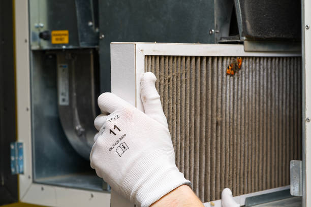 Best Affordable HVAC Duct Cleaning  in Hays, MT